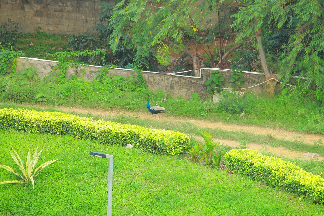 Five Falls Resort Kuttalam  Bagian luar foto